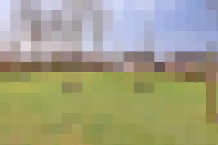 de Bas 9 Ewijk thumbnail 40