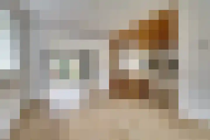 de Bas 9 Ewijk thumbnail 8