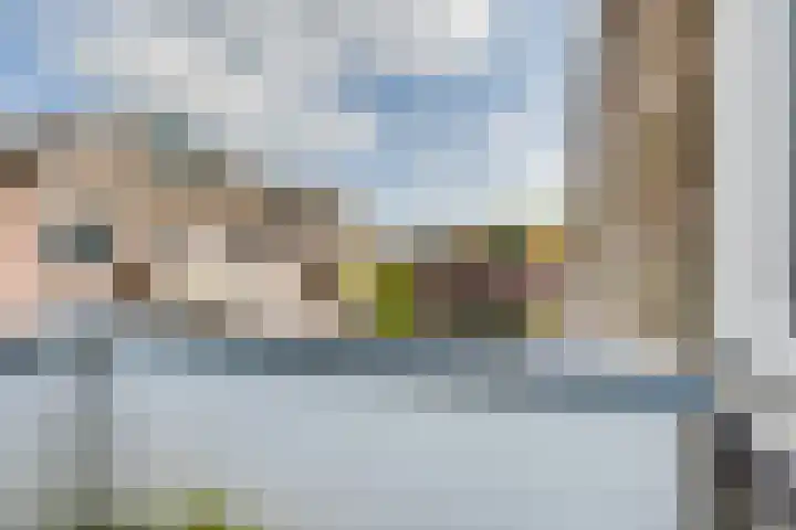 De Batavier 46 Winterswijk thumbnail 22