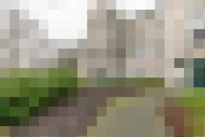 de Batenburg 11 Soest thumbnail 10