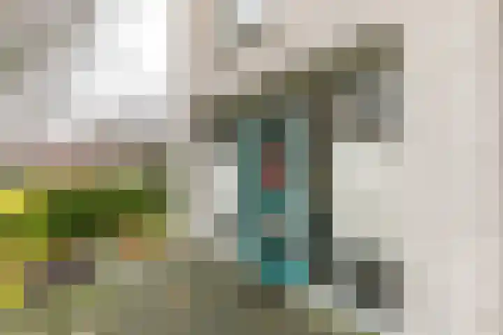 de Batenburg 11 Soest thumbnail 11