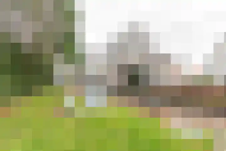 de Batenburg 11 Soest thumbnail 42