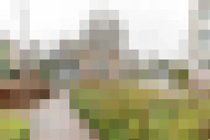 de Batenburg 11 Soest thumbnail 45