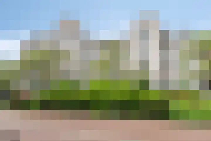 de Batenburg 15 Soest thumbnail 23