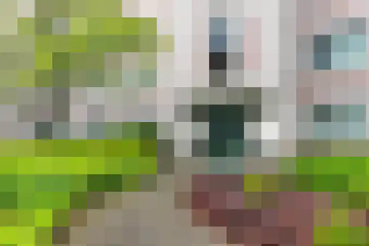 de Batenburg 15 Soest thumbnail 25