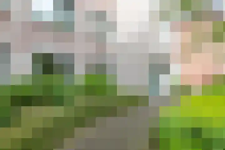 de Batenburg 15 Soest thumbnail 26