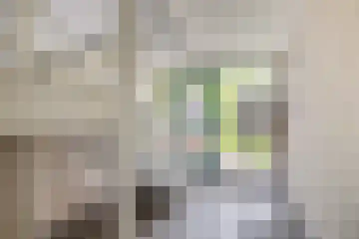 de Batenburg 15 Soest thumbnail 27