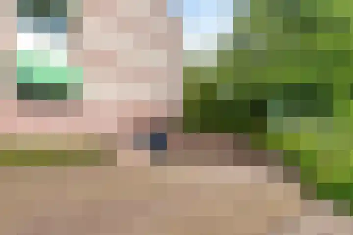 de Batenburg 15 Soest thumbnail 29