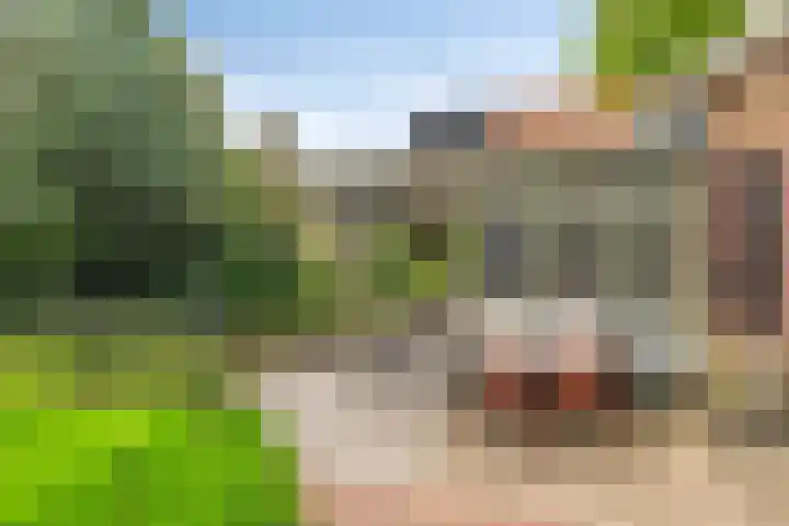 de Batenburg 15 Soest thumbnail 35
