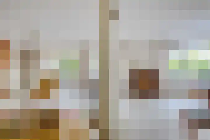 de Batenburg 15 Soest thumbnail 5