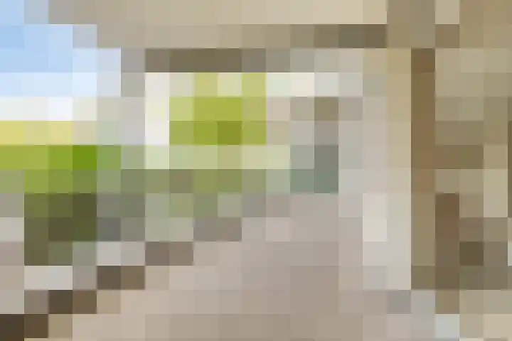de Batenburg 15 Soest thumbnail 8