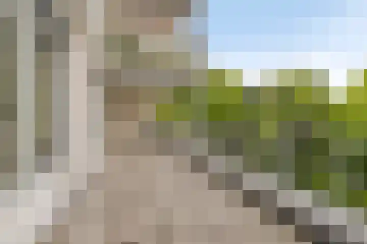 de Batenburg 15 Soest thumbnail 9
