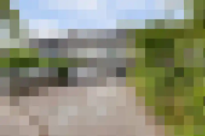 De Bats 12 Malden thumbnail 41