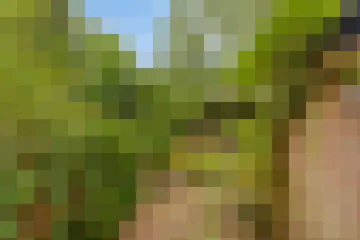 De Bats 12 Malden thumbnail 43