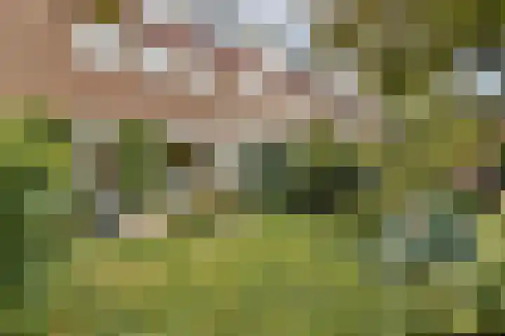 De Bazelhof 11 Amsterdam thumbnail 10