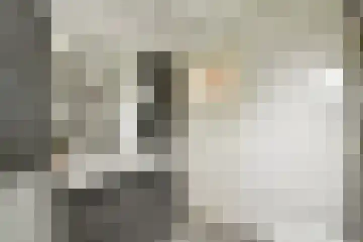 De Bazelhof 11 Amsterdam thumbnail 16