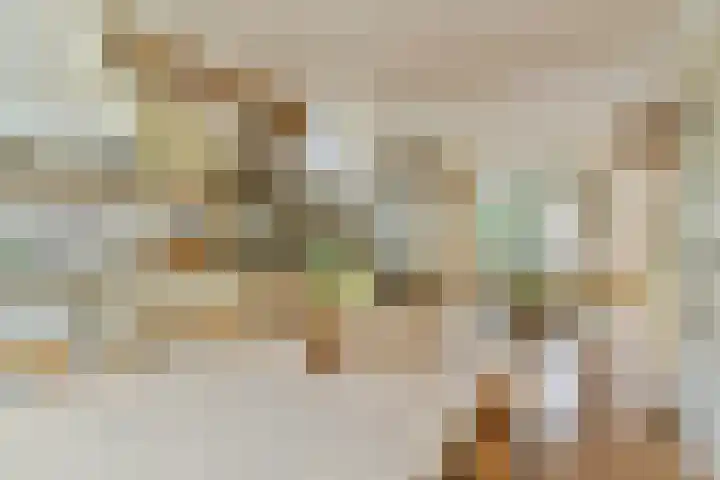 De Bazelhof 11 Amsterdam thumbnail 5
