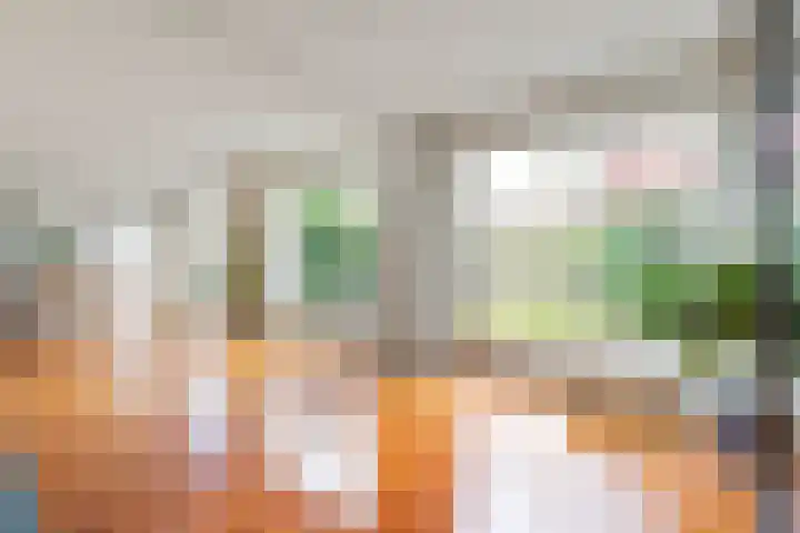 De Bazelstraat 12 Groningen thumbnail 12