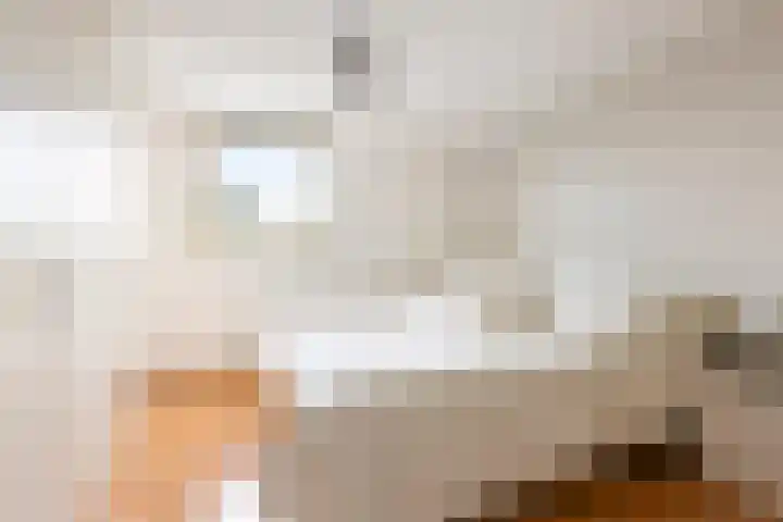 De Bazelstraat 12 Groningen thumbnail 27
