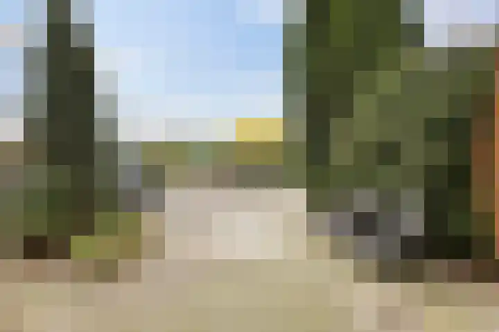 De Bazelstraat 12 Groningen thumbnail 39