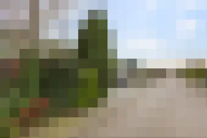 De Bazelstraat 12 Groningen thumbnail 40