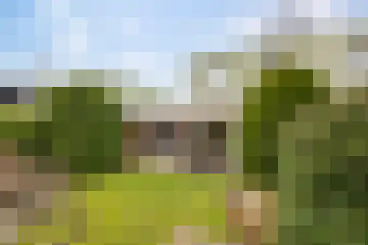 De Bazelstraat 12 Groningen thumbnail 6
