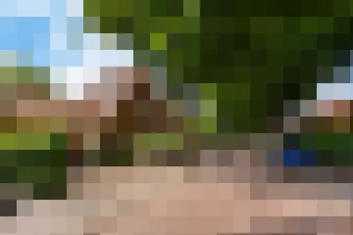De Bazelstraat 28 Hilversum thumbnail 34