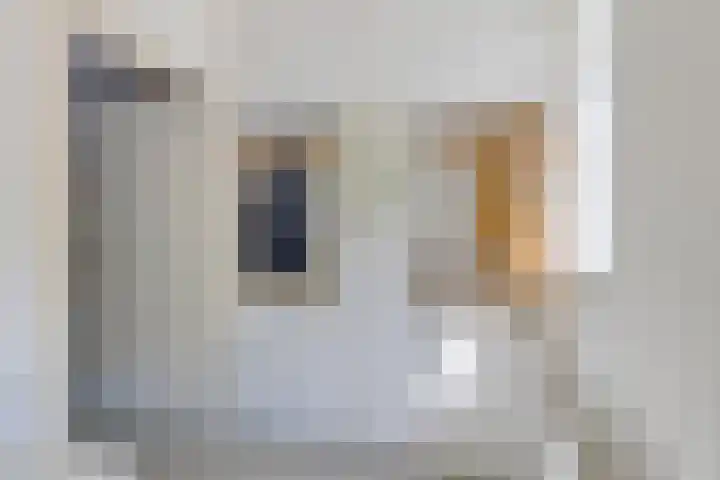 De Bazelstraat 46 Groningen thumbnail 20