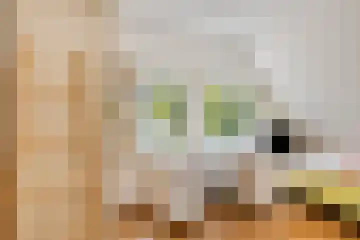 De Bazelstraat 46 Groningen thumbnail 31