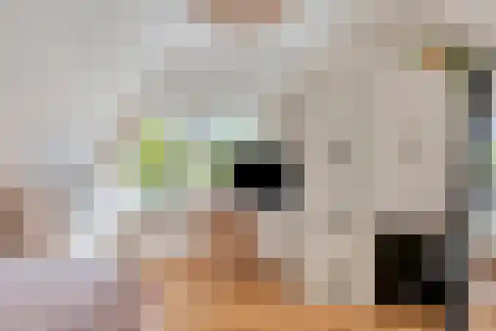De Bazelstraat 46 Groningen thumbnail 37