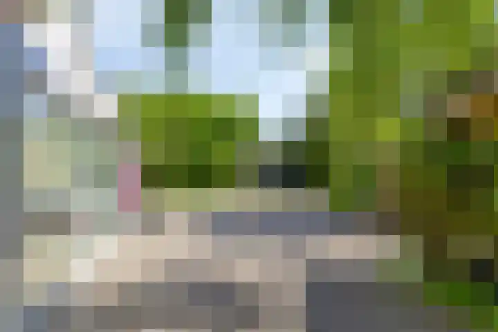 De Bazelstraat 46 Groningen thumbnail 46