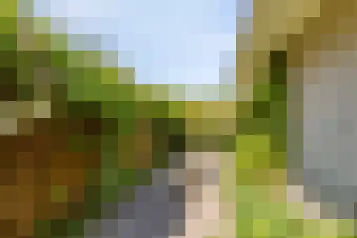 De Bazelstraat 46 Groningen thumbnail 48