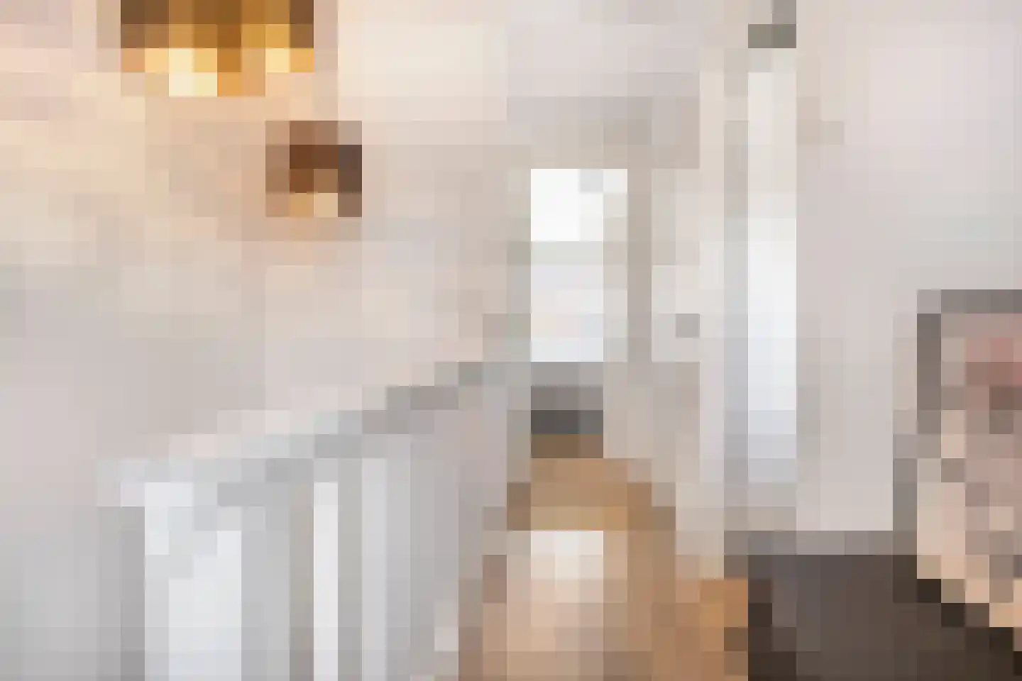 De Bazelstraat 78 Utrecht thumbnail 25