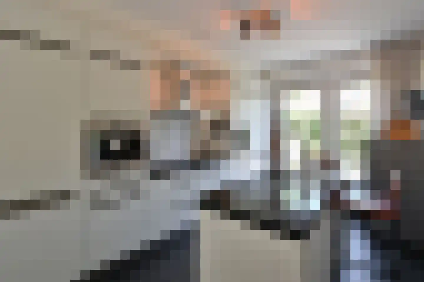 De Bazelweg 34 Laren thumbnail 9