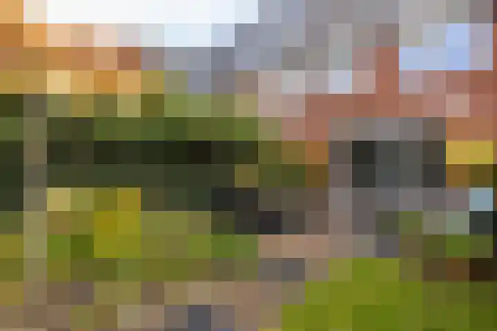De Bazelweg 5 Laren thumbnail 27