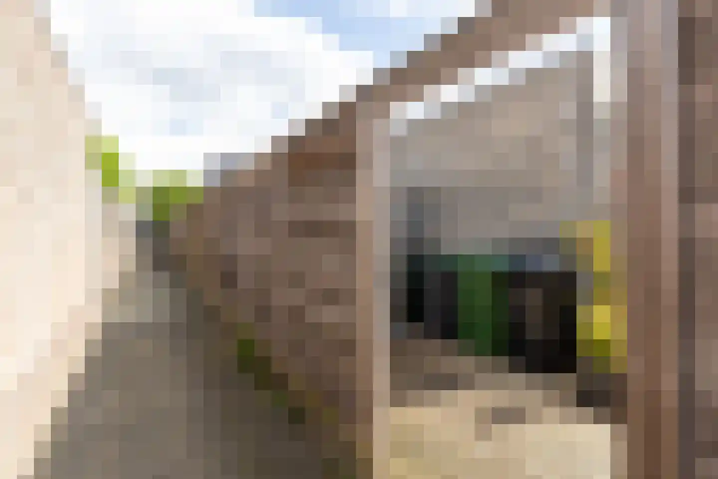 De Bazuin 12 's-Heerenberg thumbnail 30