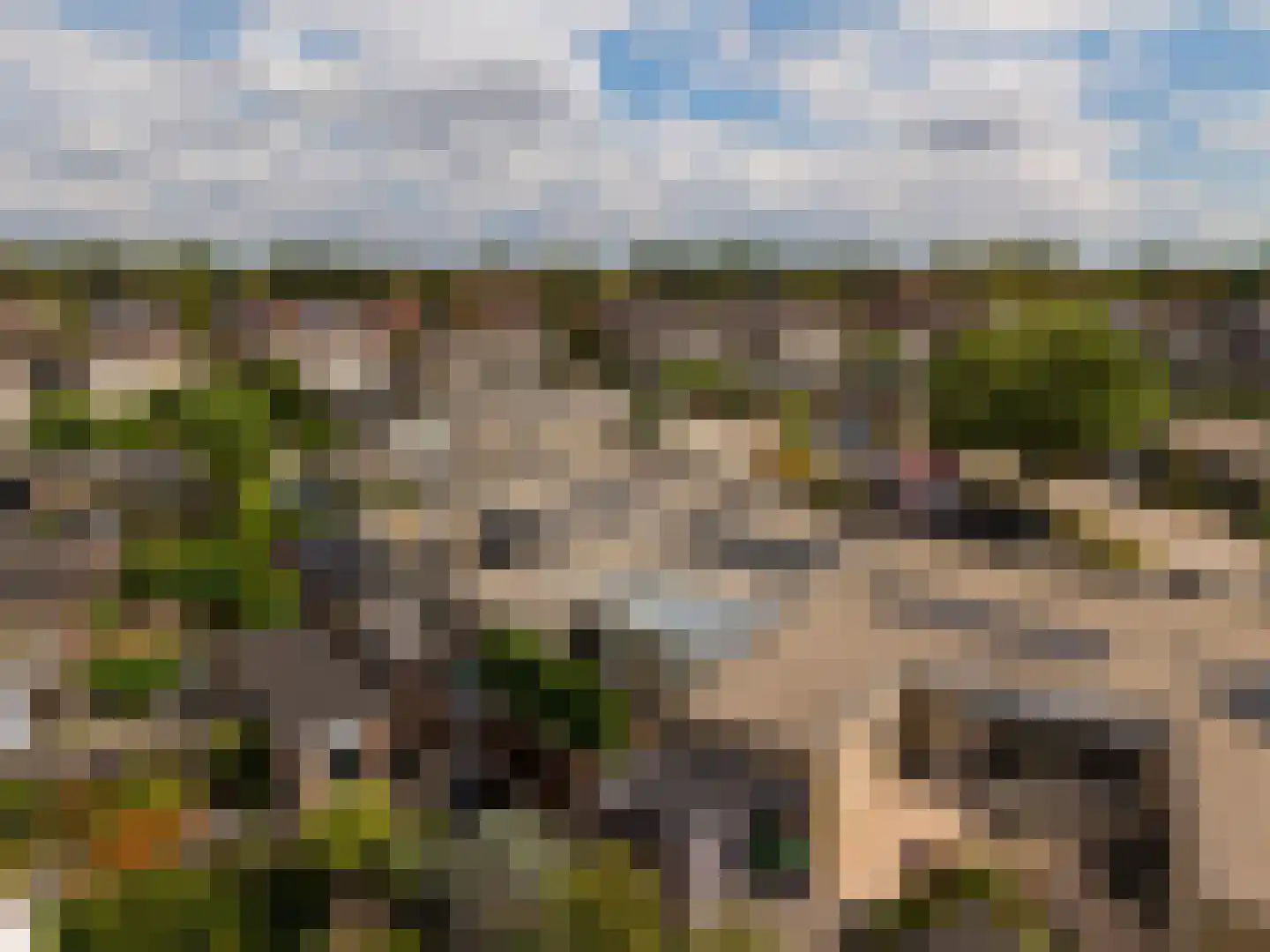 De Bazuin 12 's-Heerenberg thumbnail 8
