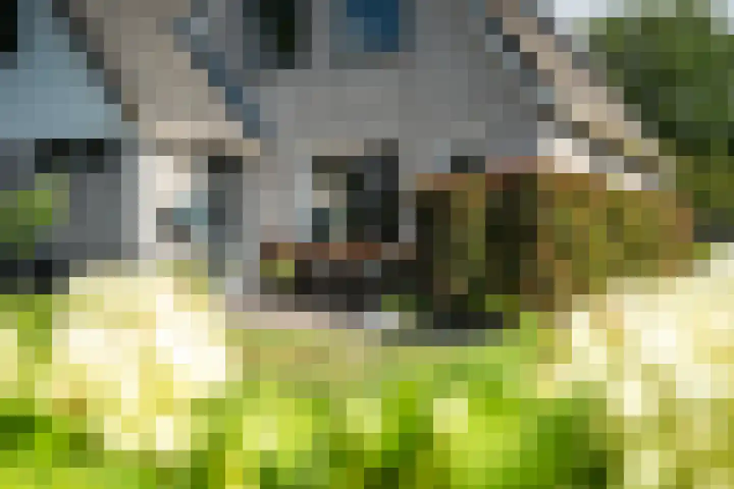 De Bazuin 33 Harlingen thumbnail 29