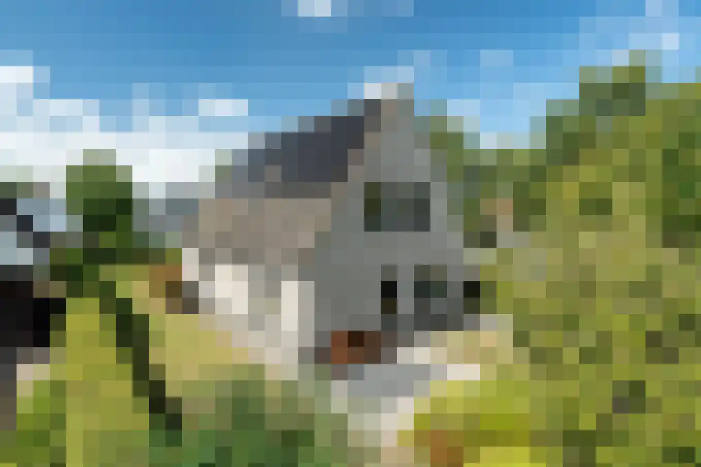De Bazuin 33 Harlingen thumbnail 4