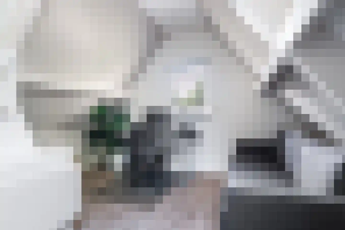 De Bazuin 33 Harlingen thumbnail 43