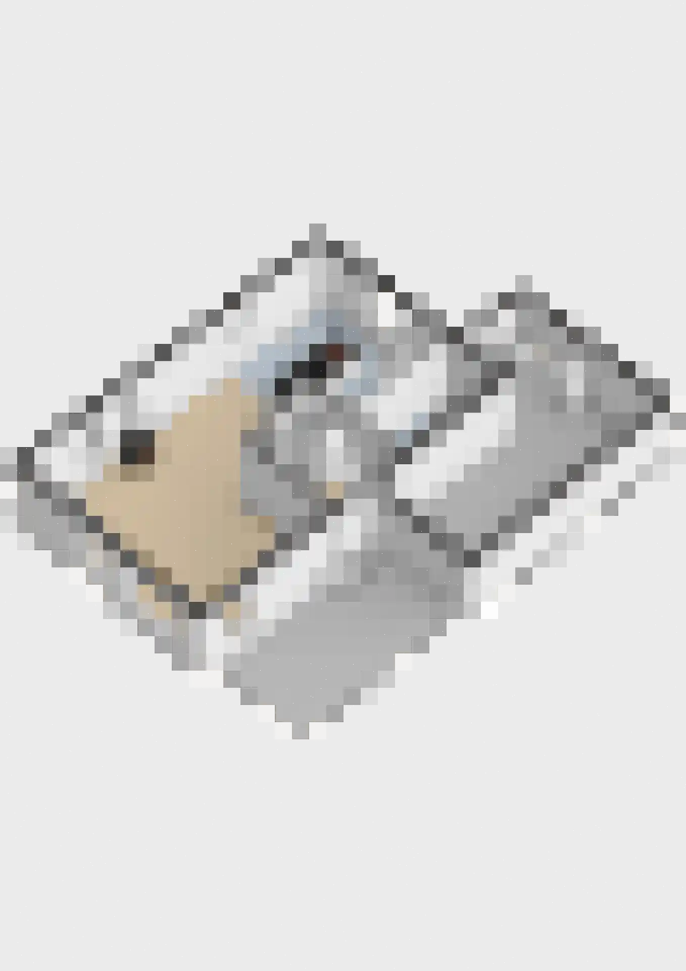 De Bazuin 33 Harlingen thumbnail 51