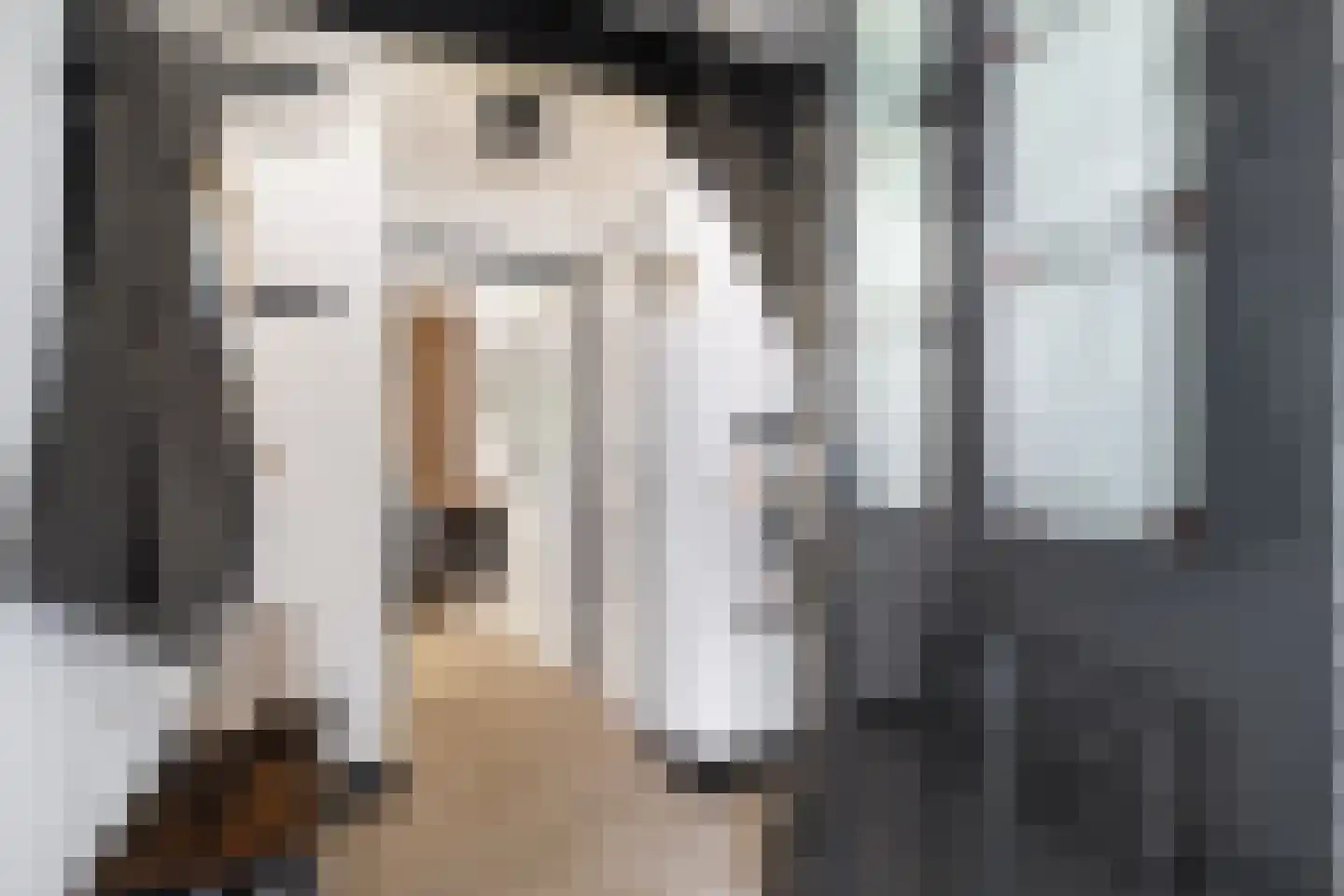 De Bazuin 33 Harlingen thumbnail 8