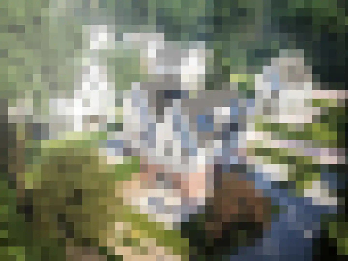 de Beaufortlaan 44 Soest thumbnail 6