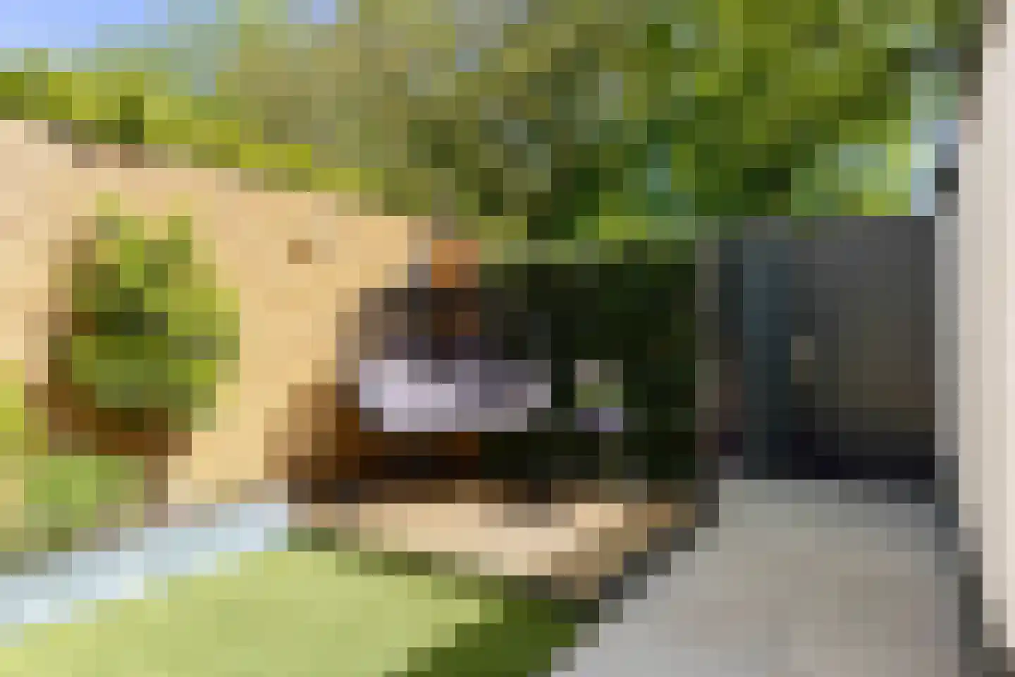 de Beaufortpad 8 Eindhoven thumbnail 24