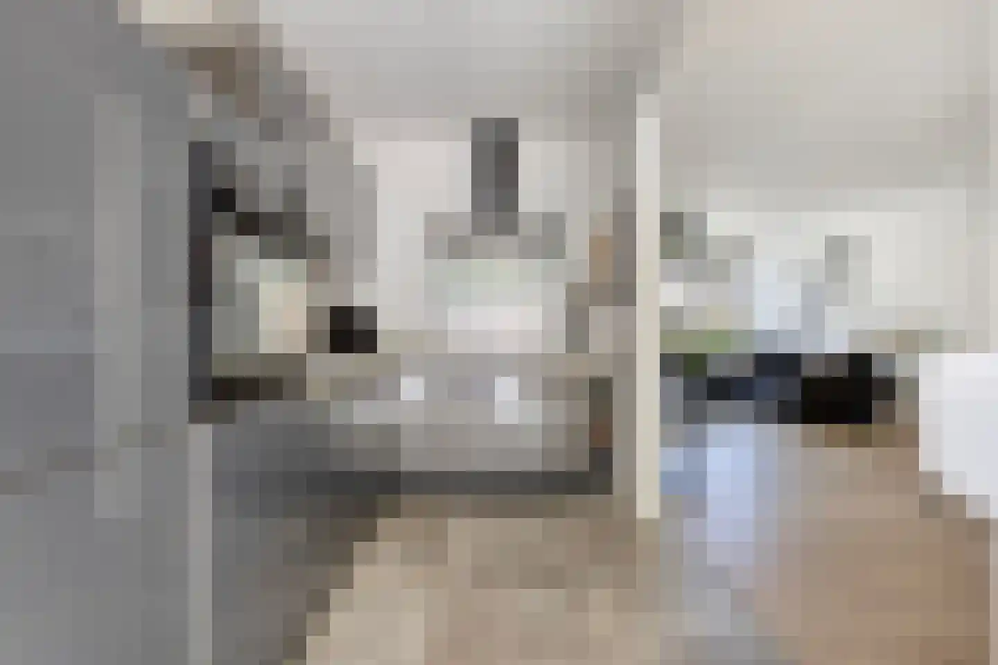 de Beaufortpad 8 Eindhoven thumbnail 8