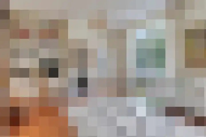 de Beaufortweg 1 Doorn thumbnail 12