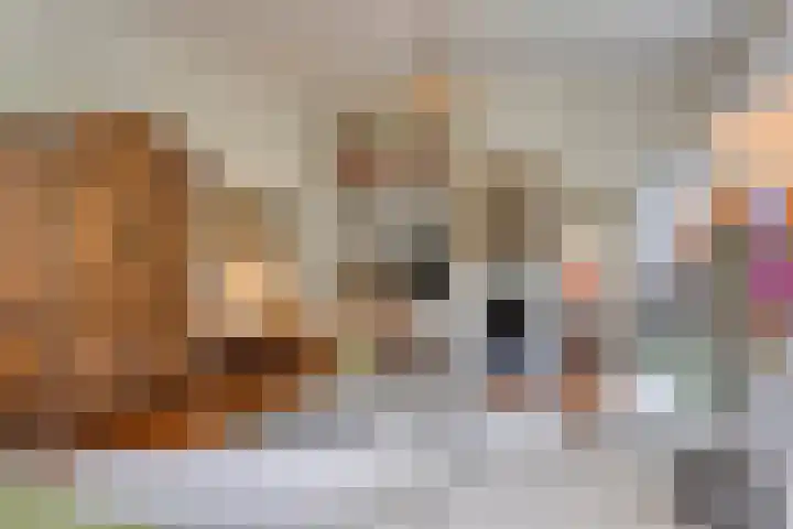 de Beaufortweg 1 Doorn thumbnail 14
