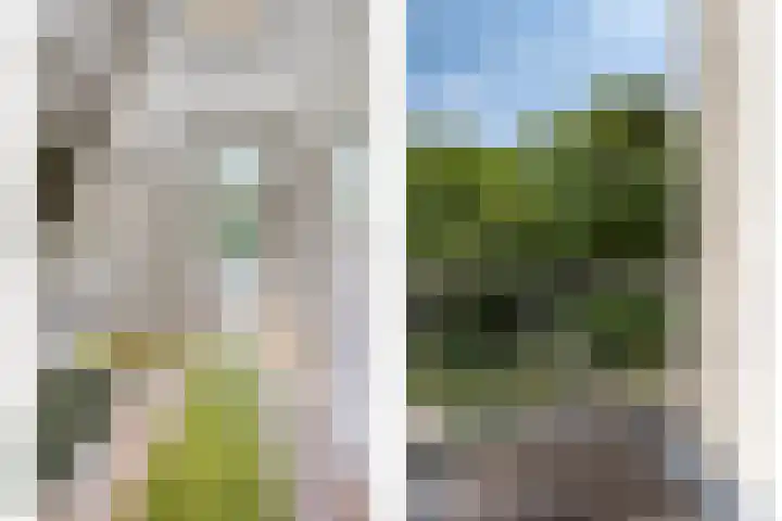 de Beaufortweg 1 Doorn thumbnail 27