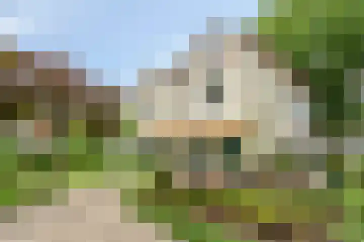 de Beaufortweg 1 Doorn foto 3
