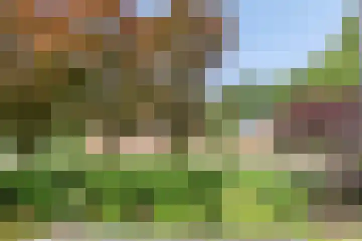 de Beaufortweg 1 Doorn thumbnail 30